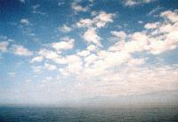 Picture for song 'Saw Seaker' by artist 'Fraganegra'