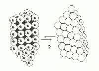 Picture for song '5/4 Hardcore' by artist 'Fragrant Vagrant'