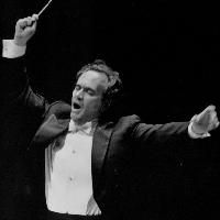 Picture for song 'ConduKtor' by artist 'Fragrant Vagrant'