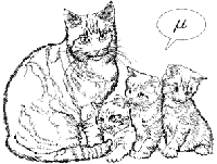 Picture for song 'Null' by artist 'Fragrant Vagrant'