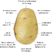 Picture for song 'Potato Headrush' by artist 'Fragrant Vagrant'