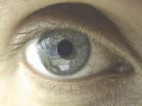 Picture for song 'Requiem' by artist 'Fragrant Vagrant'