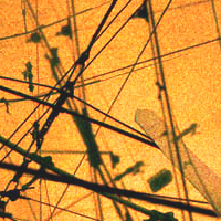 Picture for song 'Anaesthetic' by artist 'Frags'