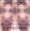 Picture for song 'My little Slave (Please Remix)' by artist 'Fraktal Emotions'