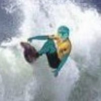 Picture for song 'Surf Big Waves' by artist 'Frank Fungus'