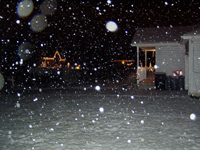 Picture for song 'Snow Is Good (live)' by artist 'Franny Glass'