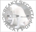 Picture for song 'Hints From Rusty' by artist 'freakysecretdjcheekypuppy'