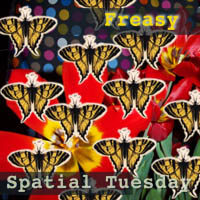 Picture for song 'Tropical Species' by artist 'Freasy'