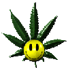 Picture for song 'Fun Track' by artist 'Freemind Beats'