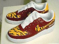 Picture for song 'rocky flow' by artist 'freestyle phanatiks'