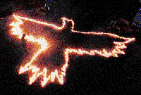 Picture for song 'Summer Of Crows' by artist 'Free The Week'