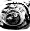 Picture for song 'Shouting Can Have Different Meanings' by artist 'French Teen Idol'