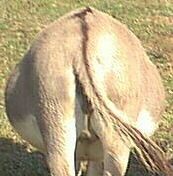 Picture for song 'Don't Let The Door Hit You In The Ass' by artist 'Frenchy Solo'