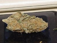 Picture for song 'The Greenlight Way' by artist 'Fresh Produce'