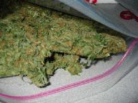 Picture for song 'The Streets' by artist 'Fresh Produce'