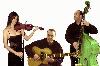 Picture for song 'exactly like u' by artist 'FRET AND FIDDLE'