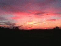 Picture for song 'Mojave Dog Chow' by artist 'FrettnOvrNuttn'