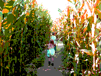 Picture for song 'amber waves' by artist 'frheko'