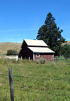 Picture for song 'wallowaflower country blues' by artist 'frheko'