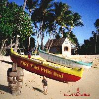 Picture for song 'Tupid' by artist 'Fried Dirt'