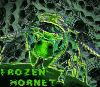 Picture for song 'noirozis_part 2' by artist 'Frozen Hornet'
