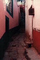 Picture for song 'Reality Check' by artist 'Froztee'