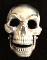 Picture for song 'Why You Fear Us Feat Kid Synizta' by artist 'Froztee'