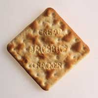 Picture for song 'Crackers' by artist 'Fruits'