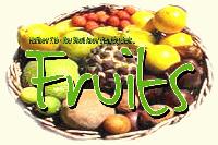 Picture for song 'Devil You' by artist 'Fruits'