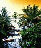 Picture for song 'Ambient of Eden' by artist 'FuChiJa Music Factory'