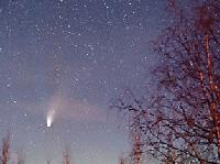 Picture for song 'Catch Your Falling Star' by artist 'FuChiJa Music Factory'