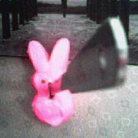 Picture for song 'Pit Ninja Pole Striper (The Ballad Of Grisly Mike)' by artist 'Fuckfest'