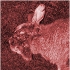 Picture for song 'CRICKETS INSIDE MY BRAIN' by artist 'fuekhckeing hell i3qjq'