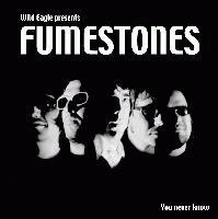 Picture for song 'You never knows' by artist 'FUMESTONES'