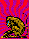 Picture for song 'YYZ' by artist 'Funk Master Dennizzle'