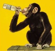 Picture for song 'Funky Munky' by artist 'Funky Munky'