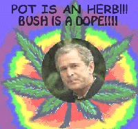 Picture for song 'ROLLING JAM-(recorded live 2000 by) LIQUID FUNK' by artist 'FunkyTim'