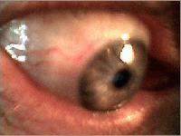 Picture for song 'Afrijazz Trance' by artist 'Fusian'