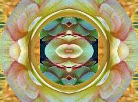 Picture for song 'Jungle' by artist 'Fusian'