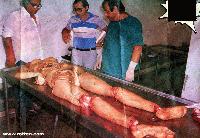 Picture for song 'Forest of Rainbows - Purple Velvet Shirt' by artist 'Futuristic Puke Records'