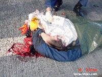 Picture for song 'Mechannically Seperated - I am the Sausage King' by artist 'Futuristic Puke Records'