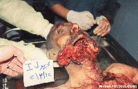 Picture for song 'Caribbian Cruisers - The Revenge of Pauly Shore' by artist 'Futuristic Puke Records'