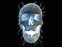 Picture for song 'Beat #32 (Street Party Beat f.k.a. Tight Azz Beat)' by artist 'GameOva'