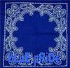 Picture for song 'DediCaTiOn By LiL TwEeTy' by artist 'GaNgStEr RaP'