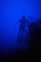 Picture for song 'Sam Sharp - Deep (Gary Moore Remix)' by artist 'Gary Moore'