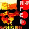 Picture for song 'Pickle Farm' by artist 'Gasoline Dion'