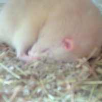 Picture for song 'Vondel Park' by artist 'GBO'