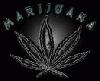 Picture for song 'projekkdoggz represent(LIRIKONGSUPREMO REC)' by artist 'g-boikwatro'