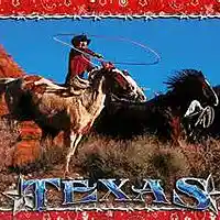 Picture for song 'Cowboy TX Tag!' by artist 'G.Bread'