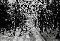 Picture for song 'Ulfhartaich' by artist 'Geimhre'